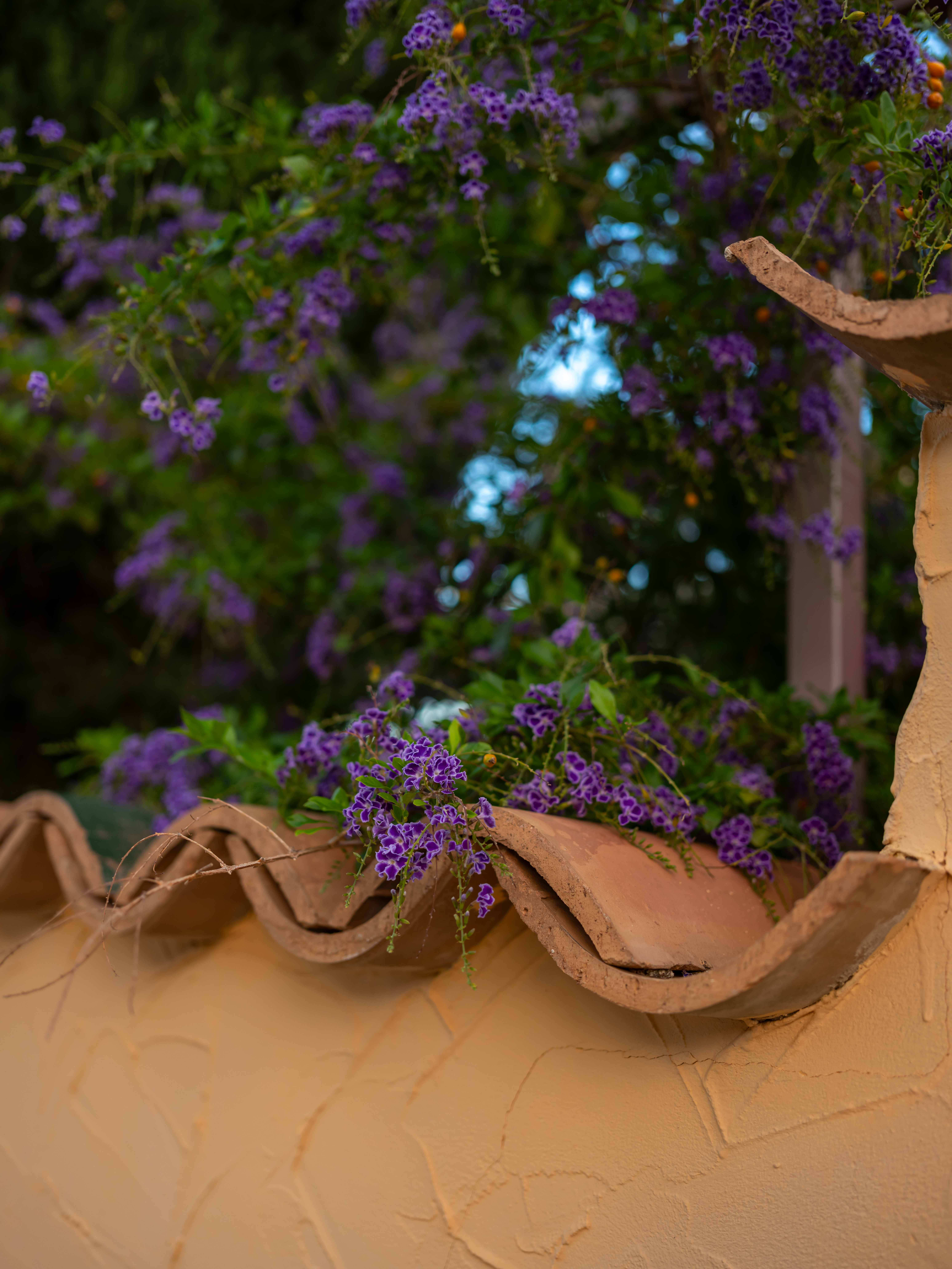 Photos from travel in Sicily, Fall 2024. Taormina, Noto, Palermo.